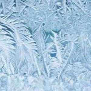 Meet your Posher, Jordyn